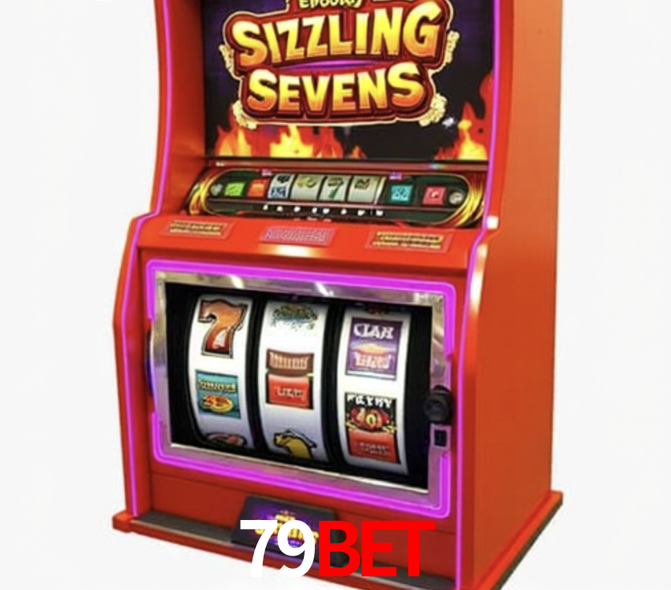 Security Systems 79bet